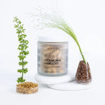 Hormonal Hair Loss Carein